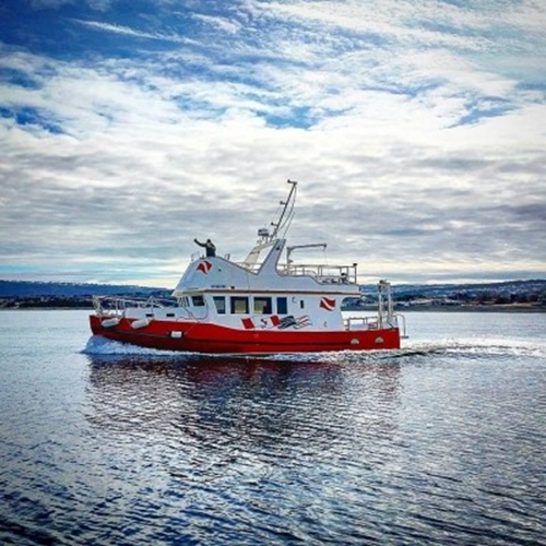 July 10th to 17th, 2021 - Newfoundland, Conception Bay